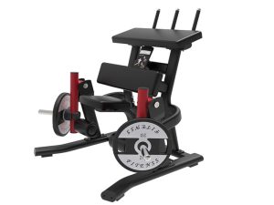 Equipo de fitness PL09 rodilla curl leg trainer